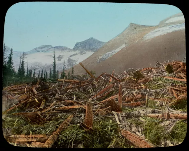 ANTIQUE Magic Lantern Slide AVALANCHE IN SELKIRKS C1900 PHOTO USA / CANADA