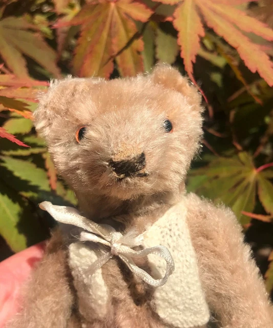 1950’S ANTIQUE VINTAGE OLD STEIFF TEDDY BEAR EUR 127,85 - PicClick IT