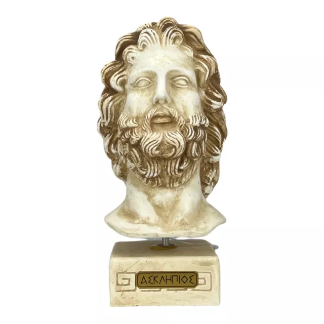 Asclepius Hero and Ancient Greek God of Medicine Bust Head Sculpture Cast Stone