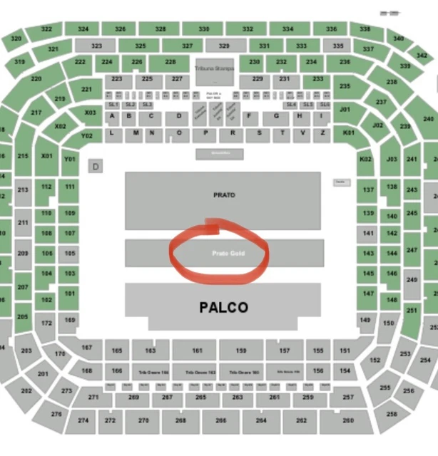1 Biglietto PRATO GOLD Blanco SAN SIRO MILANO  (2 disponibili) 20/07/2023