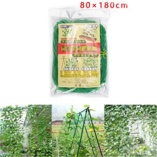 Haricot Grimpant Cadre Filet Plante Grow Décor Jardin Nylon De Haute Qualité