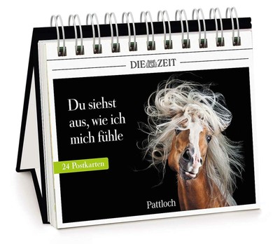 Du siehst aus, wie ich mich fühle,