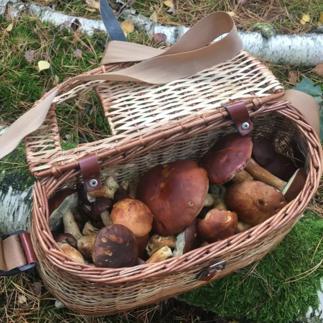 Pilzkorb Sammelkorb inkl Pilzmesser & Pilzbuch Erntekorb Steinpilze Pfifferlinge