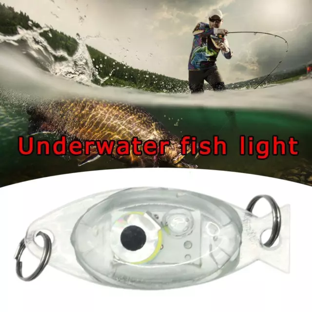 MINI UNDERWATER FISH Attraction Lamp Lure LED Flashing Fishing Light Ne  2024 £5.69 - PicClick UK