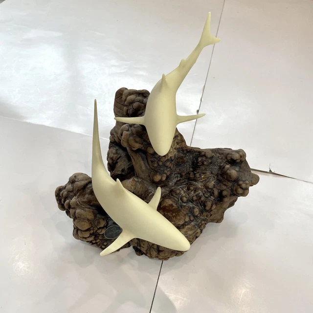 John Perry Burl Wood Two Shark Sculpture Burlwood Sea Ocean Driftwood