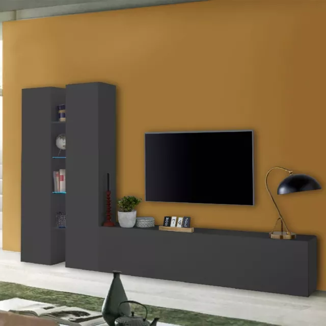 Salón moderno TV pared 2 armarios 4 estantes gris Sage RT