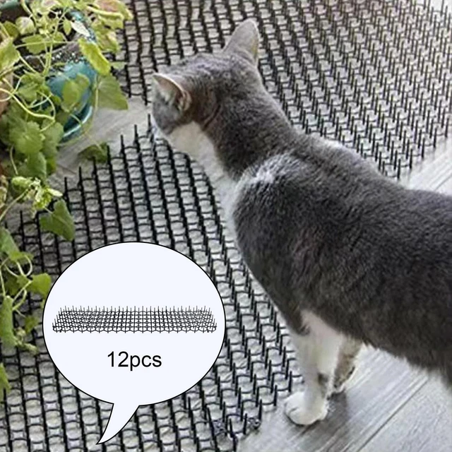 Tappetino Dissuasore Per Gatti E Cani Haofy - 12 Pezzi Con Punte In Plastica - Protezione Piante E Divani - Foto 3