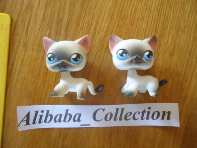 ** # LOT 2 chat cat europeen 05 05bis ? LPS LITTLEST PETSHOP PET SHOP HASBRO A