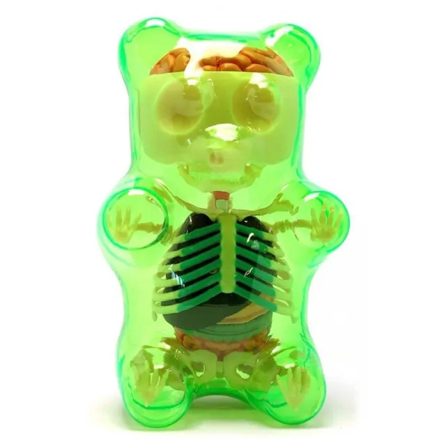 Jason Freeny 4D Master Funny Anatomy Gummi Bear Figure clear green