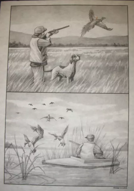 * TRI CHEM 8558 B HUNTING DOG BOAT DUCKS PHEASANT SHOT GUN Picture TRICHEM 912