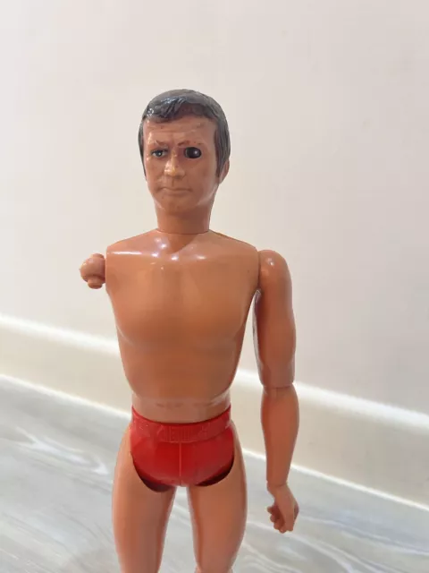 Six Million Dollor Bionic Man Action Man interest