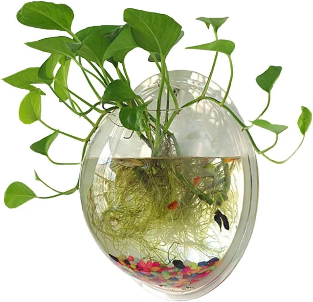 Sweetsea Hanging Wall Mounted 1 Gallon Fish Tank Bowl Aquarium Wall Decor Plant