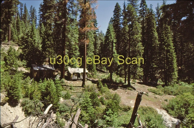 I Original Slide - WSL West Side Lumber Camp 32 Reynolds Creek CA 1979