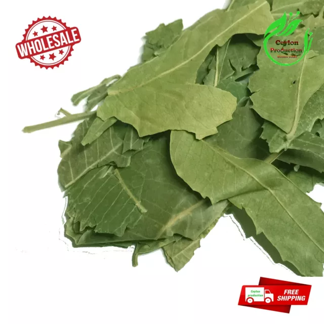 Dried Neem whole Leaves Azadirachta Indica Organic herbal premium quality leaf