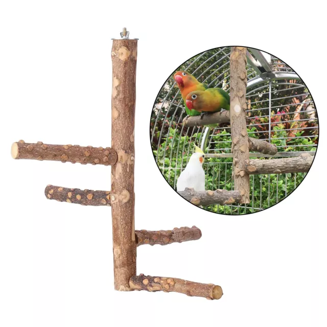 Holz Vogel Barsch Stock Gabel Ast Ständer Hängen Klettern Kauspielzeug
