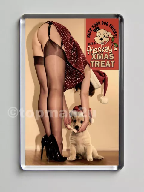 New, Quality Fridge Magnet Sexy Vintage Xmas Pin Up, Treat, Stockings, Upskirt