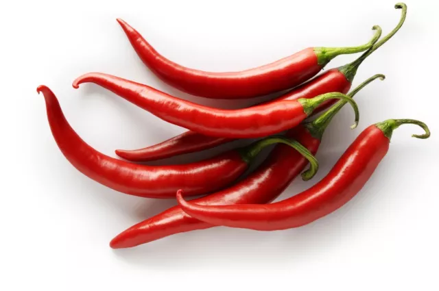 Hot chilli pepper 50 seeds / Uk Seller