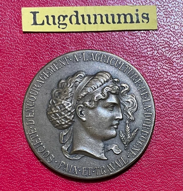 Médaille Société Nationale Des Conférences Populaires 1899 En Bronze - Monnaie De Paris XIXème Siècle