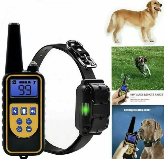 Collare 800M Impermeabile Telecomando Cani Scossa Elettrico Addestramento Lcd It