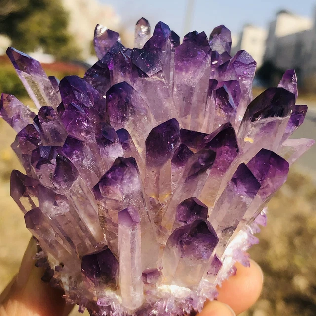 330g    New Find purpl Phantom Quartz Crystal Cluster Mineral Specimen Healing