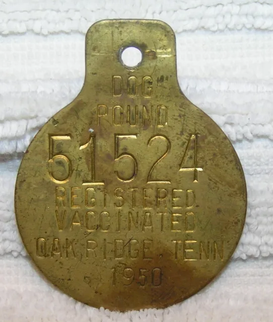 1950 Oak Ridge Tennessee Dog Pound License Tag cbx