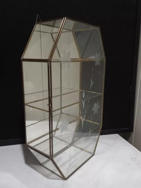 15.5" Brass & Etched Flowers Glass Display Curio Cabinet Mirror Back Shelf