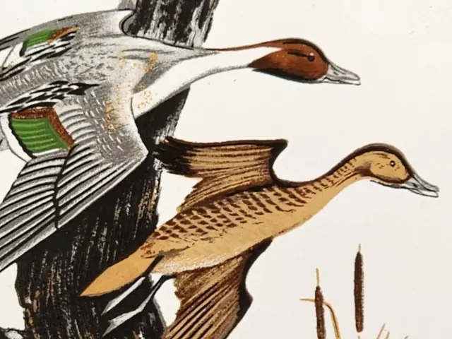 PINTAILS Vintage TILE Screencraft Hand Decorated Signed USA 6" X 6" CORK Back