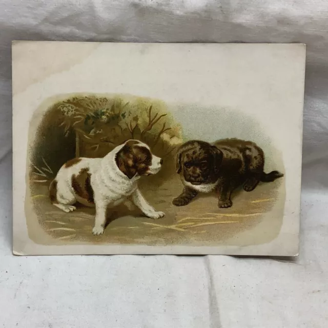 Vtg Puppies Trade Card Advertising Stephens & Widlar Teas Coffees & Spices Ohio