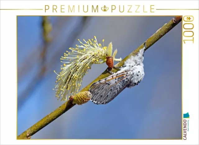 CALVENDO Puzzle Großer Gabelschwanz (Cerura vinula) | 1000 Teile Lege-Größe 64x4