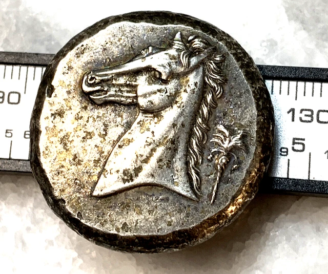 Ancient Greek Coin Italy Horse Head Tree Sicily Lady Face Fish Dolphin Medallion Ancient Greek Coin Italy Horse Head Tree Sicily Lady Face Fish Dolphin Medallion