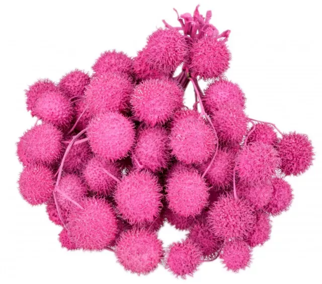 NaDeco® Platan Bälle fuchsia im Bund ca. 250g | Platanen Früchte | Plane Ball