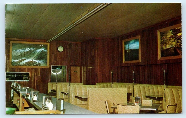 IRON MOUNTAIN, MI Michigan ~ Roadside VIGO'S RESTAURANT c1950s Postcard