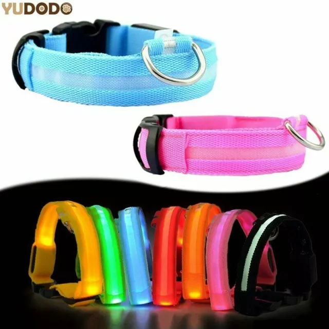 Nylon LED Hundehalsband Nacht Sicherheit VERSTELLBAR mit USB Anschluss aufladbar