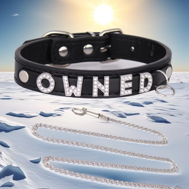 Spada Laser Collare Choker BDSM Olografico Punk - Con Catena E Guinzaglio, Regolabile, In Pelle Laser Accessorio Punk Regolabile - Foto 8