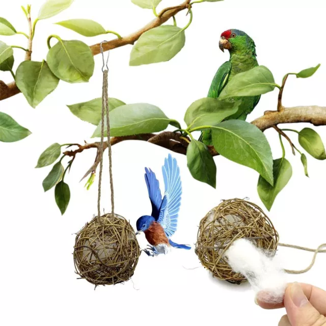 Ball Haustier produkte Papagei Spielzeug Vogel kauen Spielzeug Vogel bedarf