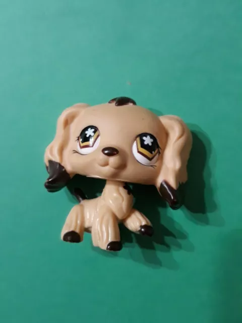 Authentic Littlest Petshop #575 Cocker Spaniel Dog Chien Epagneul brown eye LPS