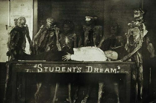 Antique Cadaver Photo 827b Odd Strange & Bizarre
