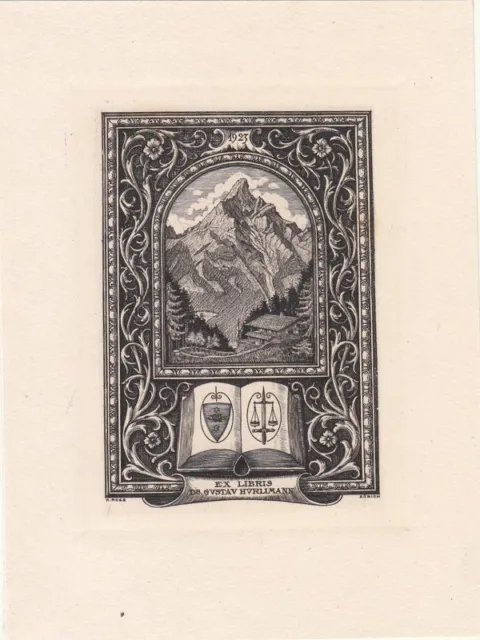 Exlibris Bookplate Radierung Karl Rogg 1884-1946 Berge Buch
