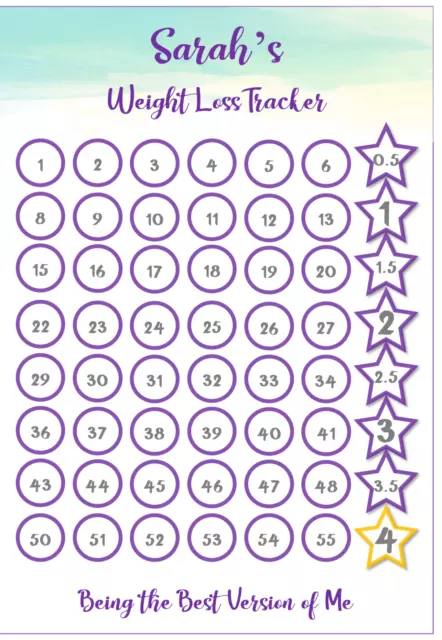 Personalised Weight Loss Chart Tracker Diet Slimming World Weight Watchers Wash