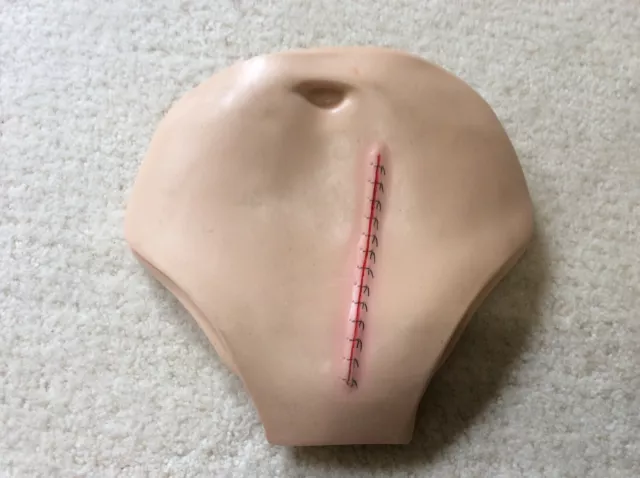 Laerdal Belly Plate Wound For Nursing Anne Kelly Adult Full Body Manikin