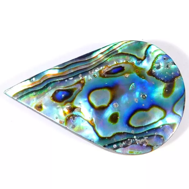 29.70Cts. Arc-en-Ciel Abalone Coque Naturel Unique Poire Cabochon Desseré Gemme