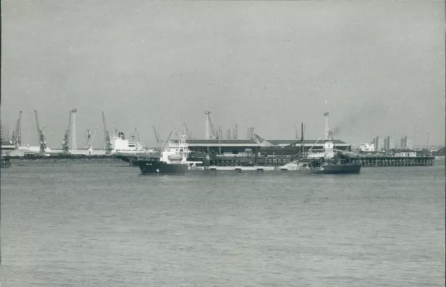 British MV argo axe off gravesend 1989
