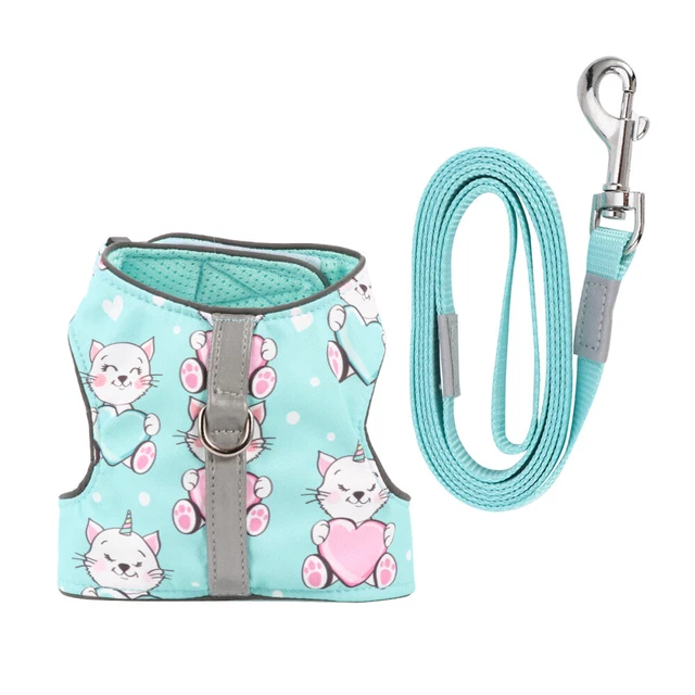 Luminose cinghie guinzaglio imbracatura gatto e comodo gilet da passeggio gatto