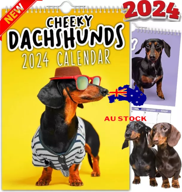 Cheeky Dachshunds - 2024 Wall Calendar,2024 Novelty Dog Calendars,Funny Calendar