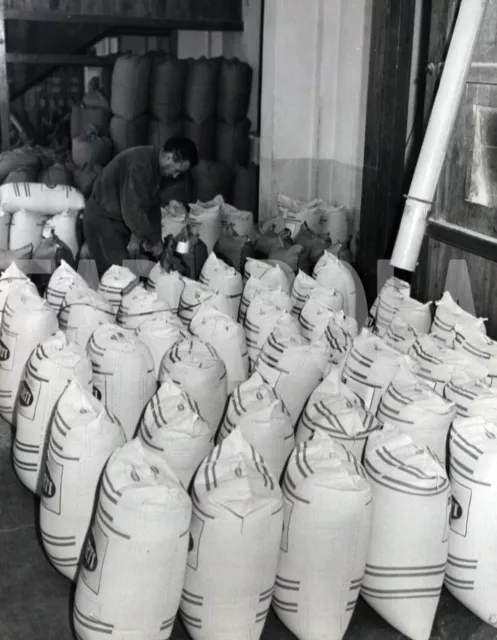 Foto vintage de archivio Arroz Sellado Bolsas Por Años 50 impresión 24x30 CM