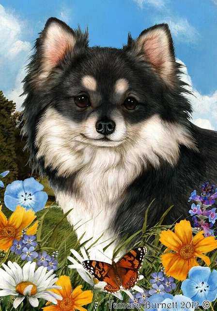 Summer Garden Flag - Longhaired Black and White Chihuahua 183581