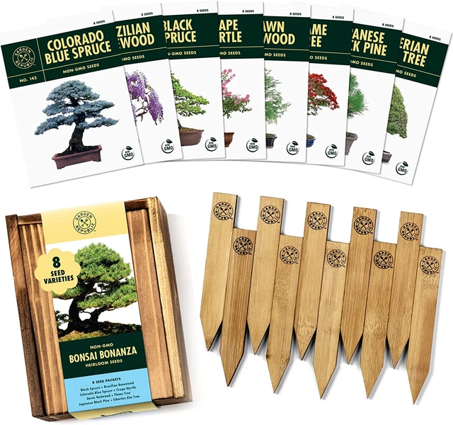 Bonsai Tree Seeds Kit - 8 Popular Varieties of Non GMO Mini Bonsai Trees, Bamboo
