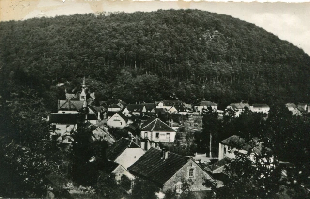 Carte LUTZELBOURG Vue sur la partie Nord du village