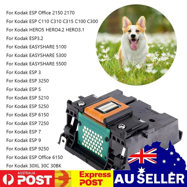 Full Colors Printer Heads Replacement Parts Printer Print Head for ESP C110 C310