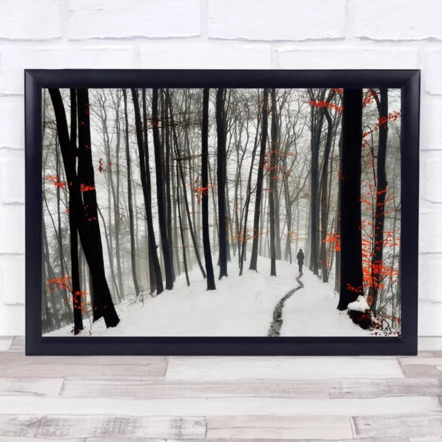 Through Autumn Winter Forest Trees Fog Leaves Snow White Path Red Wall Art Print